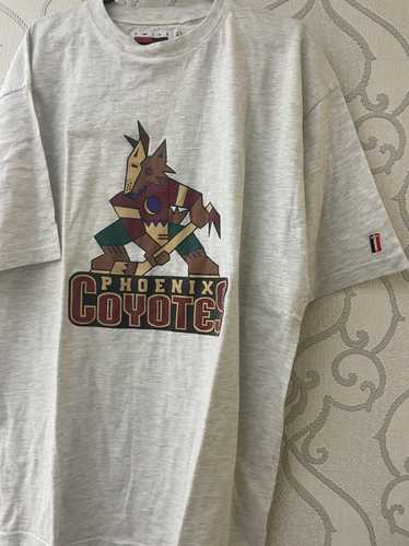 Youth Arizona Coyotes Levelwear Black Team Little Richmond T Shirt