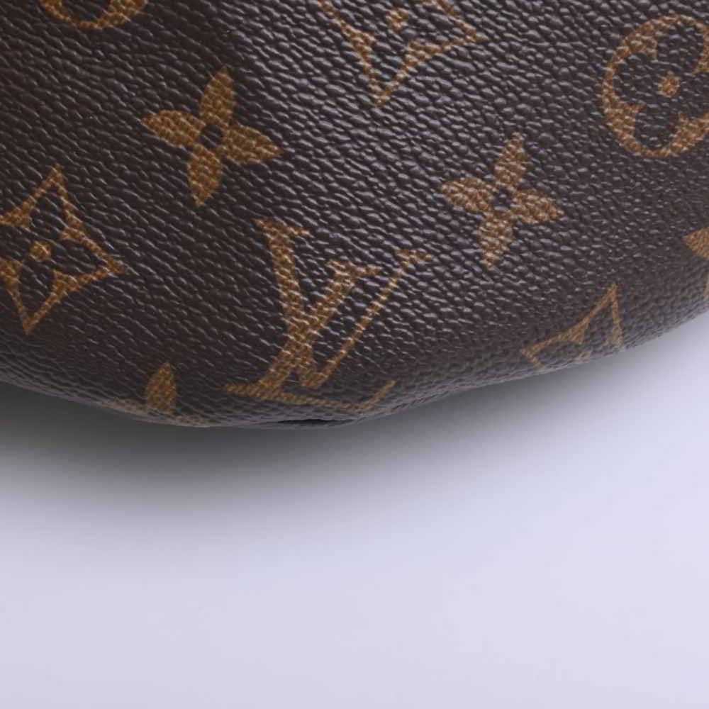 Louis Vuitton Louis Vuitton Monogram Bum Bag Wais… - image 3
