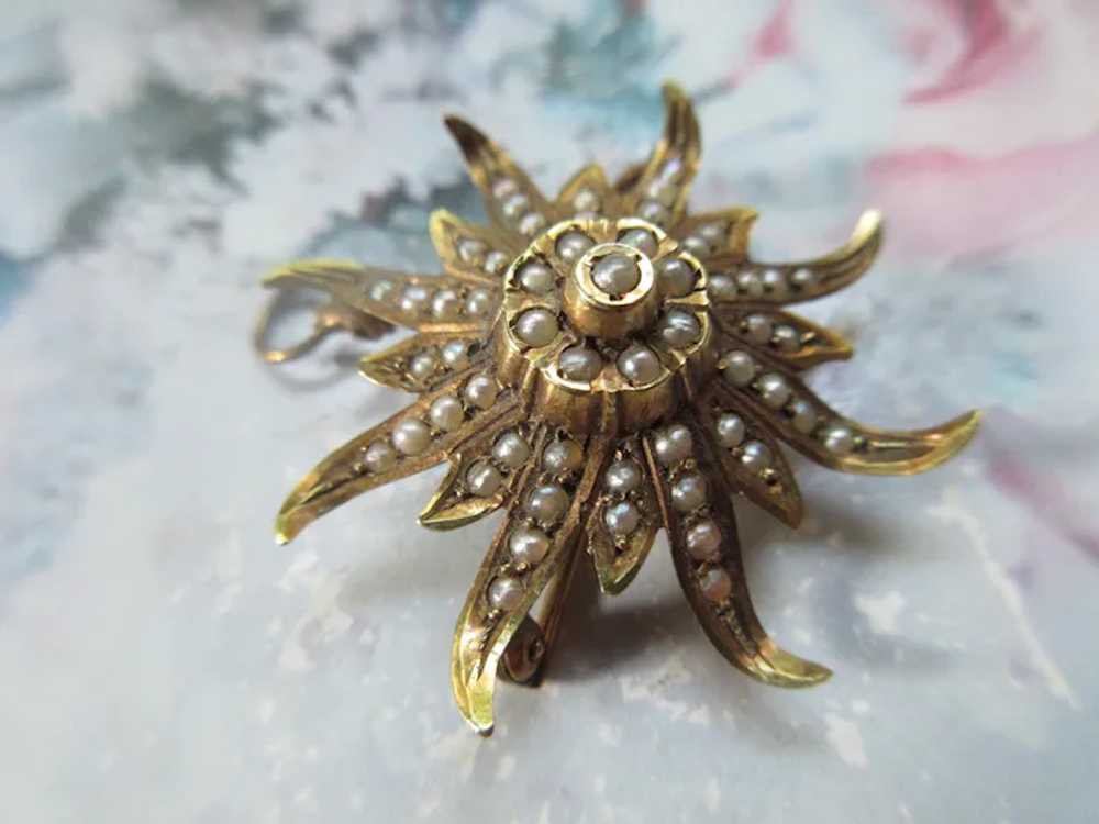 Antique 10K Cultured Pearl Sun Burst Pin Pendant - image 2