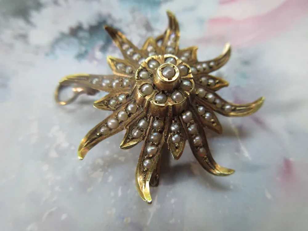 Antique 10K Cultured Pearl Sun Burst Pin Pendant - image 5