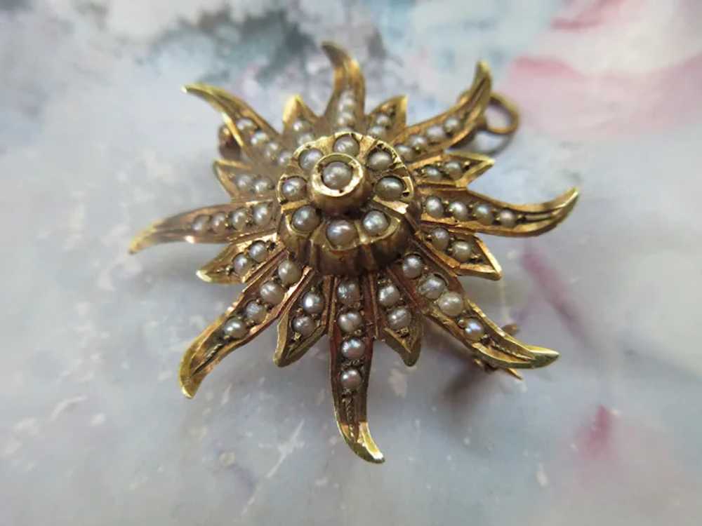 Antique 10K Cultured Pearl Sun Burst Pin Pendant - image 6