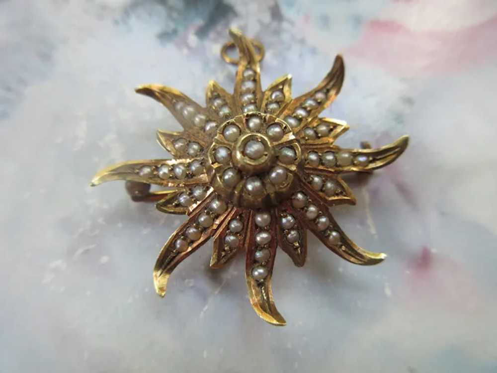 Antique 10K Cultured Pearl Sun Burst Pin Pendant - image 7