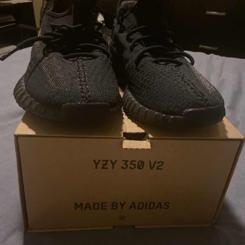 Adidas Yeezy Boost 350 - image 3