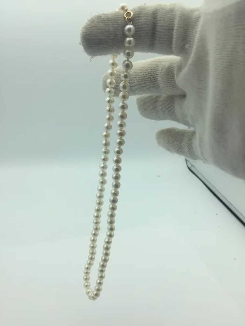 14KY 6mm White Pearl Necklace - image 4
