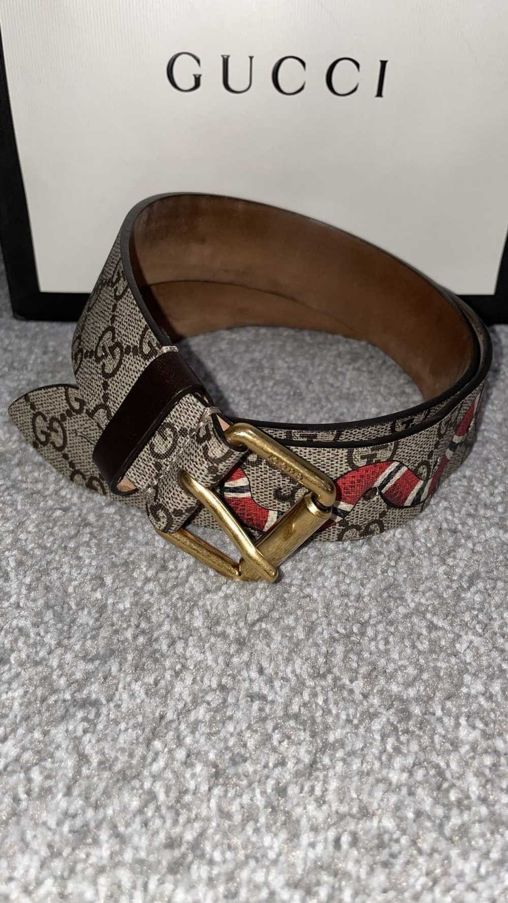 Gucci × Rare × Vintage GG Supreme Kingsnake Belt - image 1