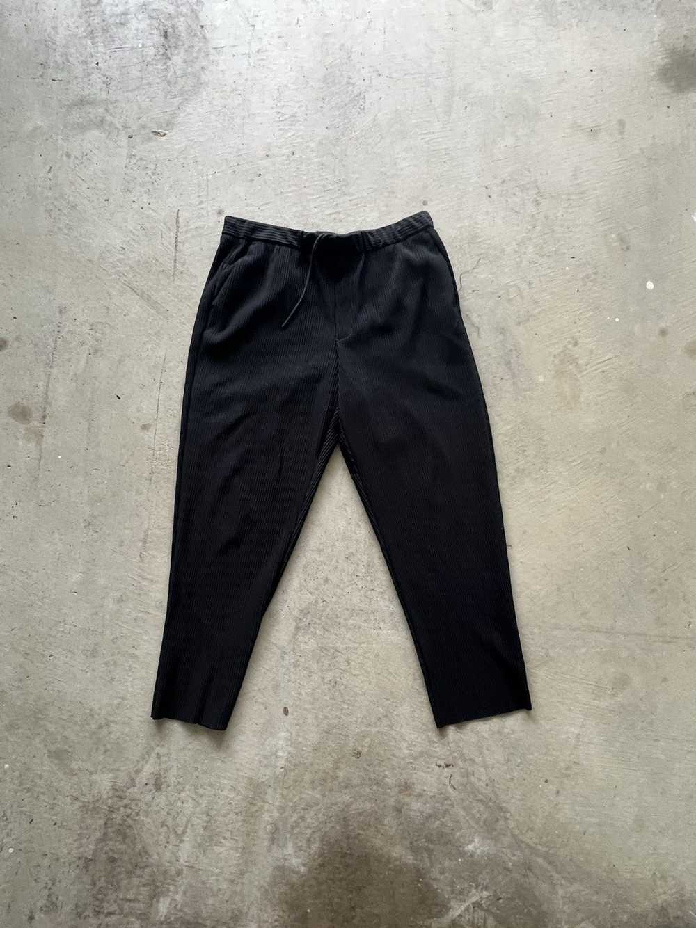 Issey Miyake × Japanese Brand Pleated trousers (n… - image 1