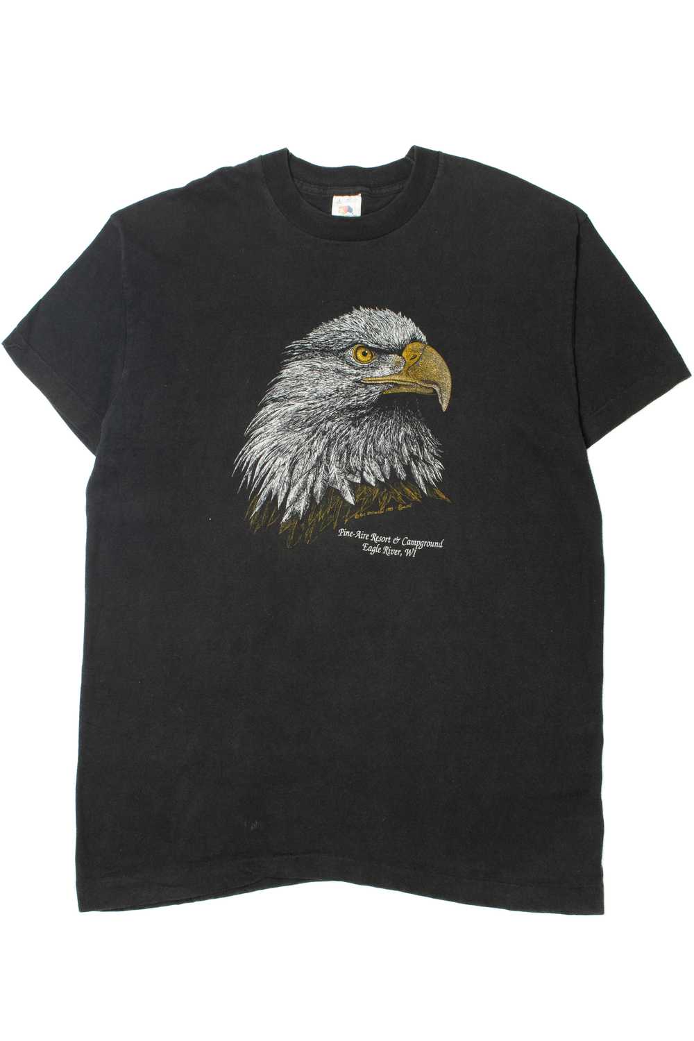 Vintage 1993 "Eagle River, WI" Single Stitch T-Sh… - image 1