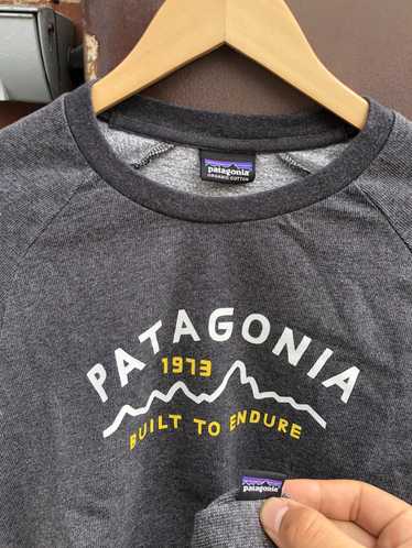 Patagonia × Streetwear Patatagoina crewneck - image 1