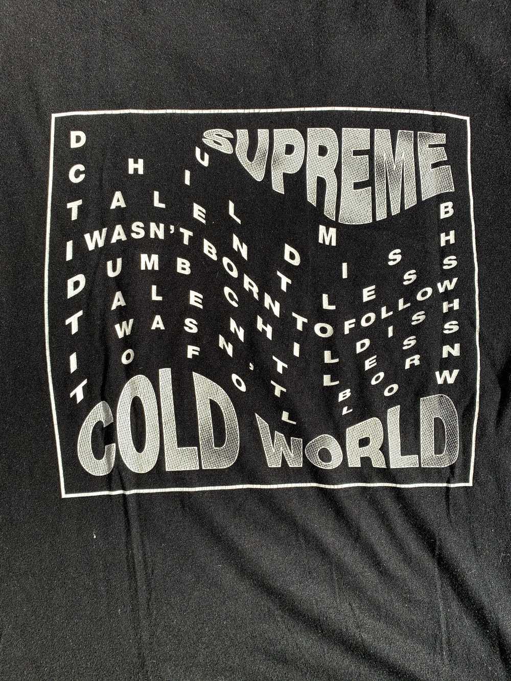 Supreme Cold World Tee (short) - image 1