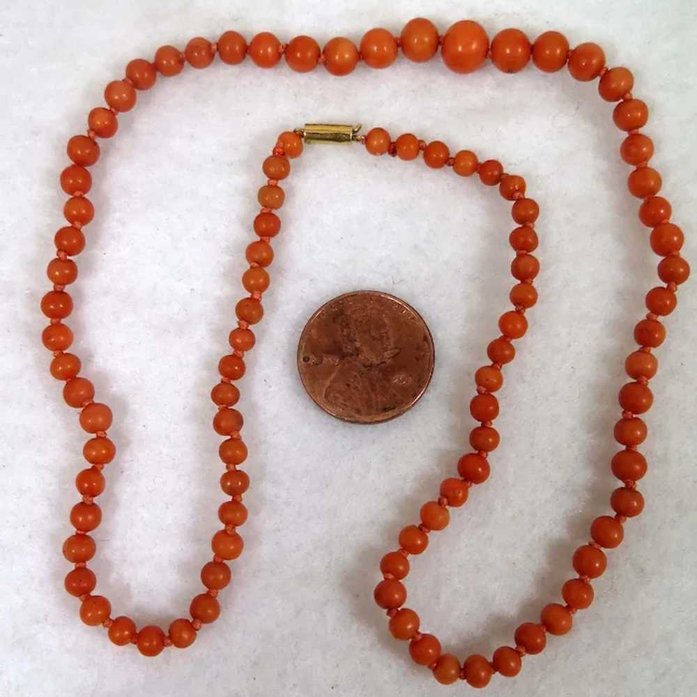 Antique Coral Necklace with 9K clasp 17 inch - image 4