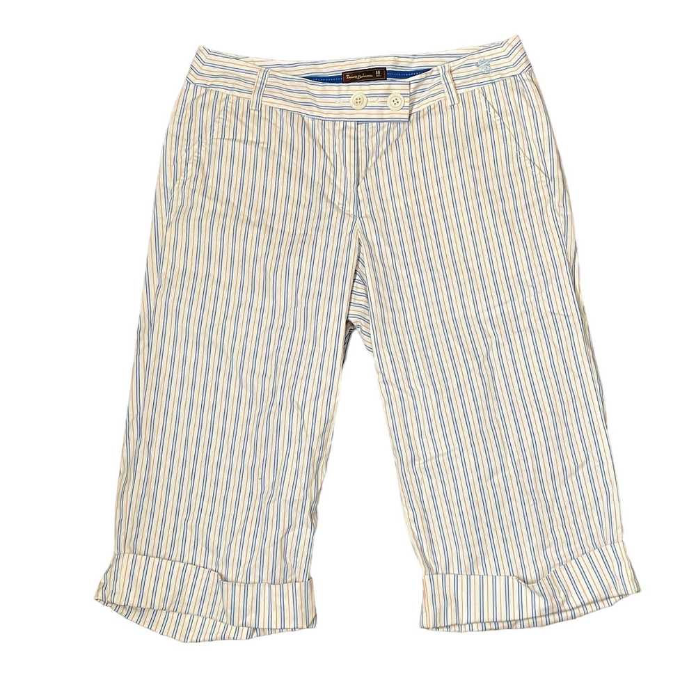 Tommy Bahama Tommy Bahama Golf Striped Bermuda Sh… - image 1