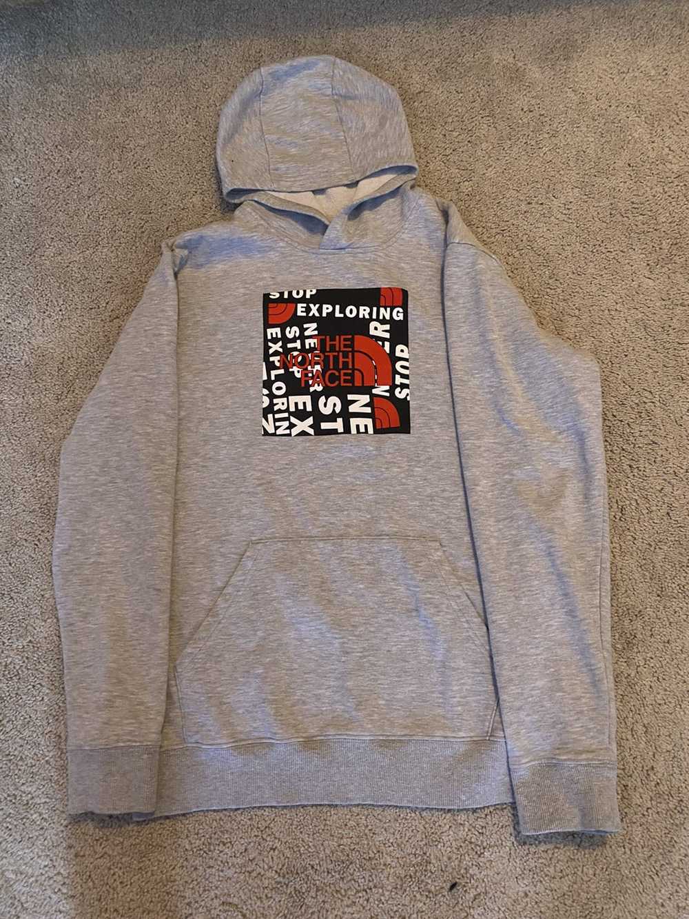 The North Face North Face Hoodie - image 1