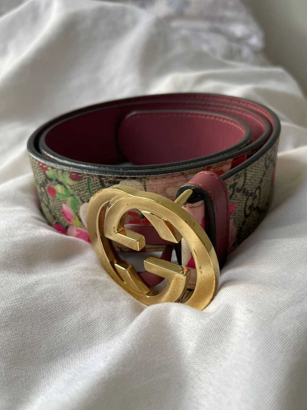 Gucci Gucci Interlocking G Belt Blooms Print GG C… - image 2