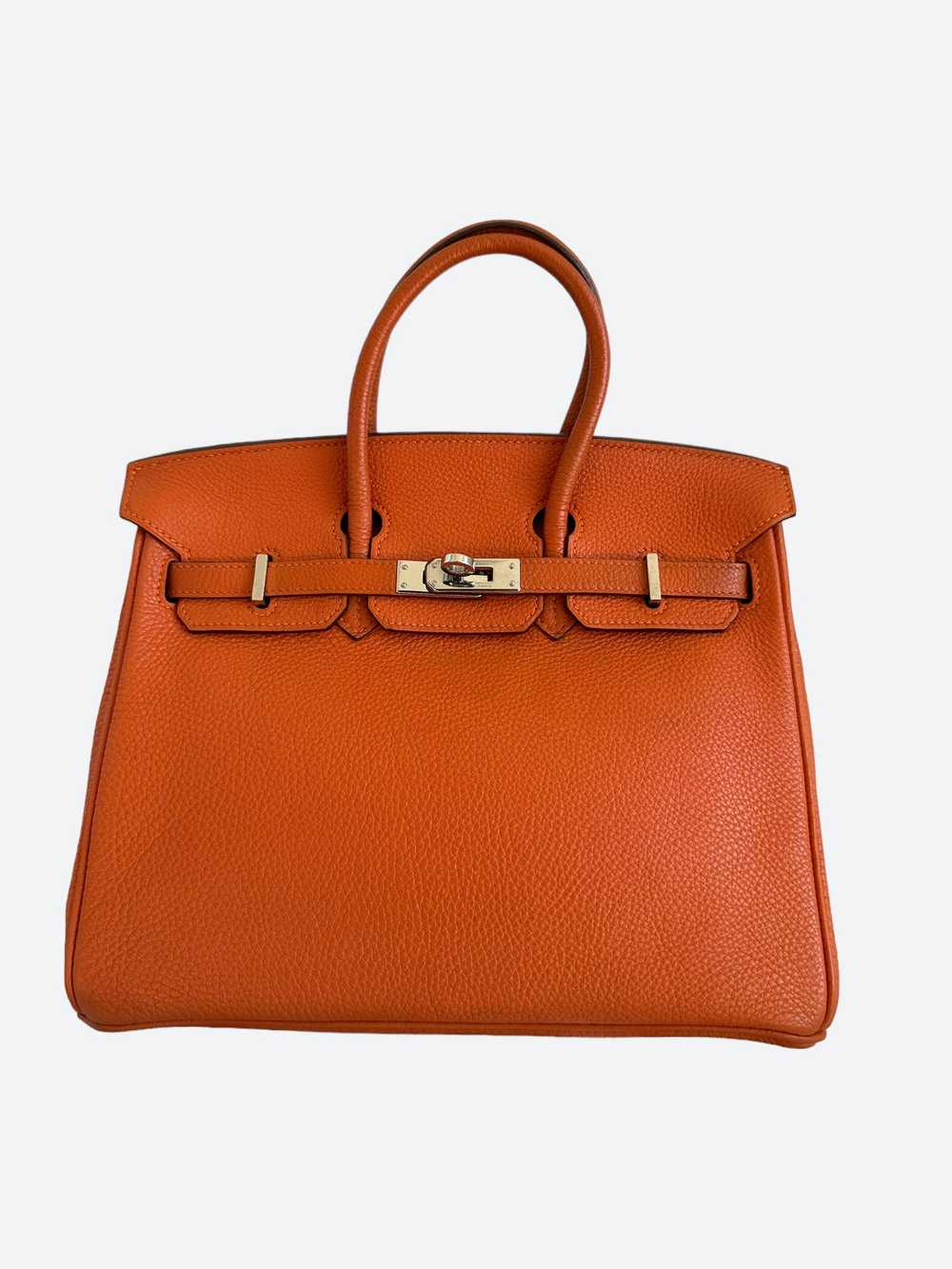 Hermes Hermès Orange Togo Birkin 25 Gem