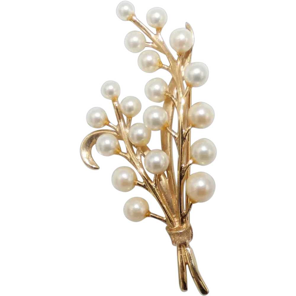 Pearls and 14K Gold Brooch, Cultured Pearls - image 1