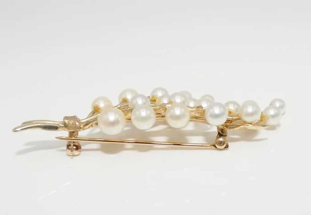 Pearls and 14K Gold Brooch, Cultured Pearls - image 2