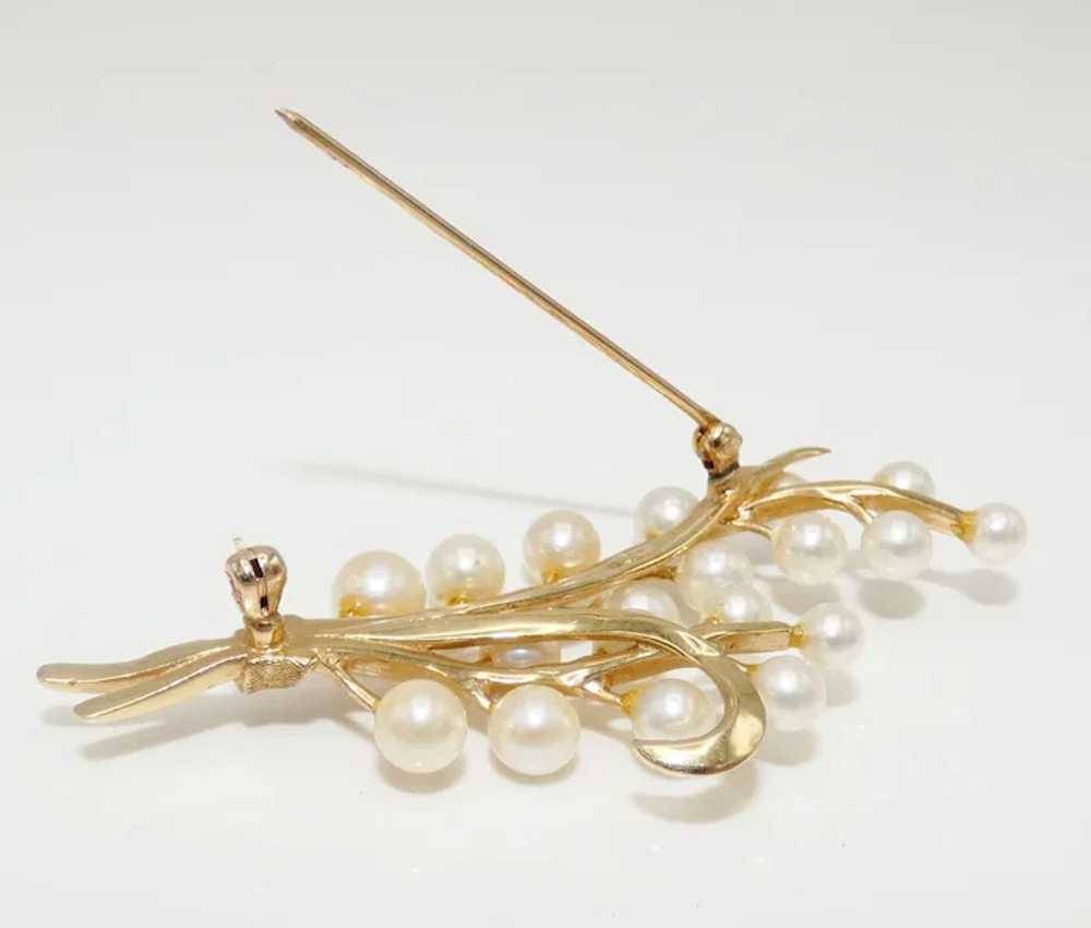 Pearls and 14K Gold Brooch, Cultured Pearls - image 3