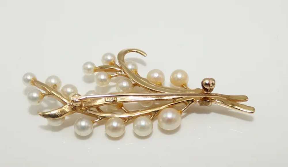 Pearls and 14K Gold Brooch, Cultured Pearls - image 4