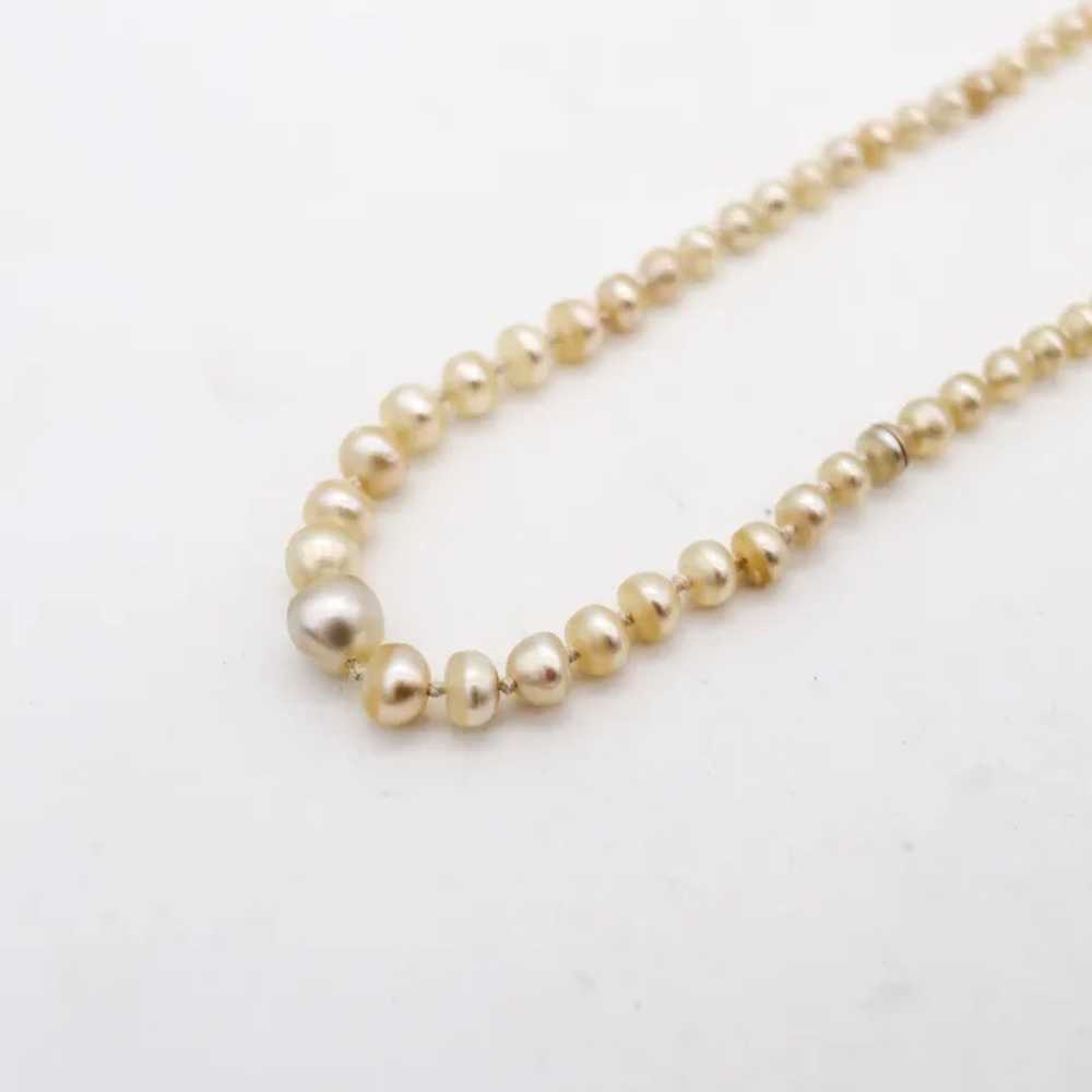 French 1900 Edwardian Natural Pearls Necklace In … - image 3