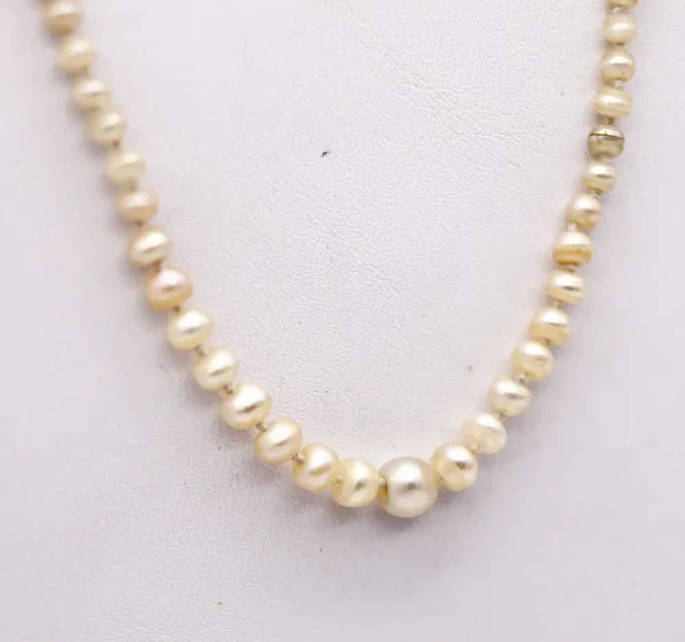 French 1900 Edwardian Natural Pearls Necklace In … - image 6