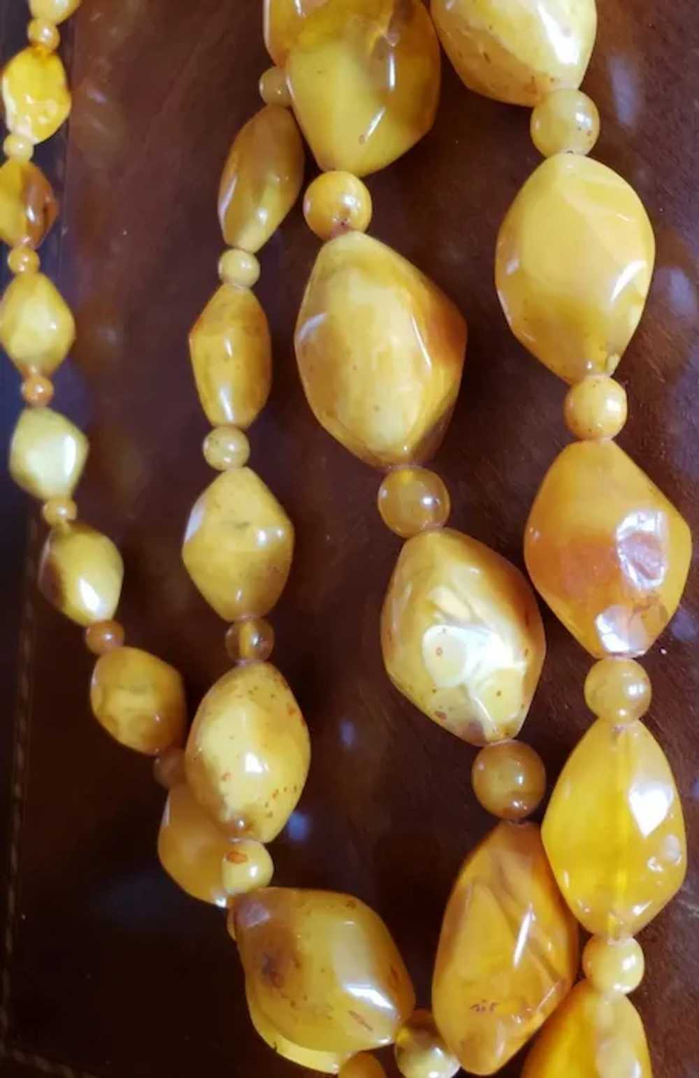 Natural Baltic Butterscotch Eggyolk Amber Necklac… - image 9