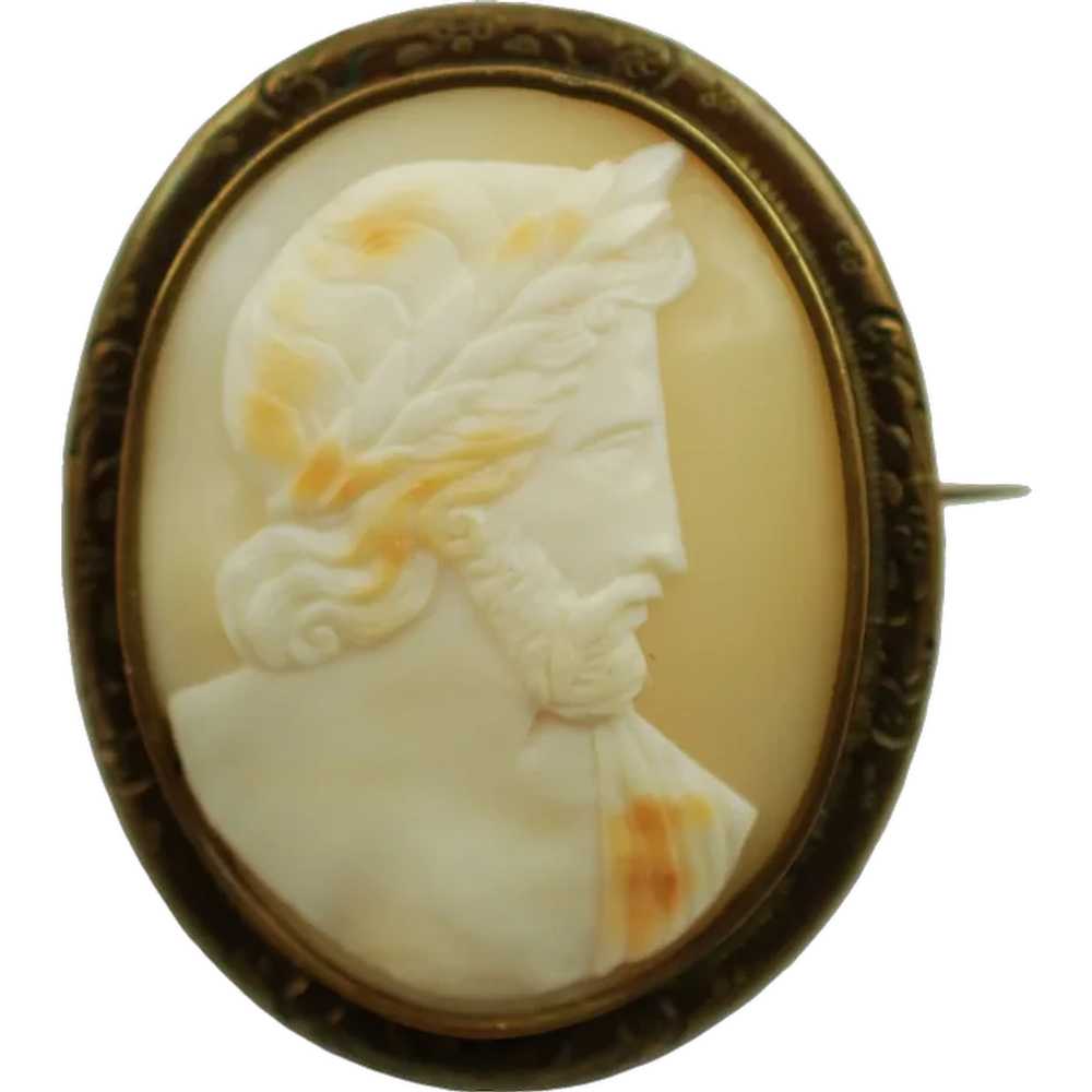 Antique Hand Carved Zeus Shell Cameo Brooch Pin - image 1