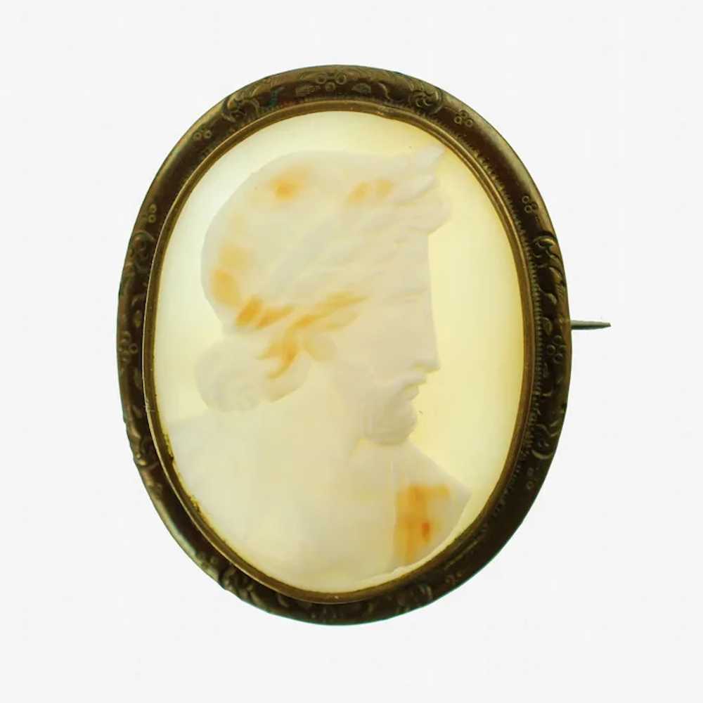 Antique Hand Carved Zeus Shell Cameo Brooch Pin - image 2
