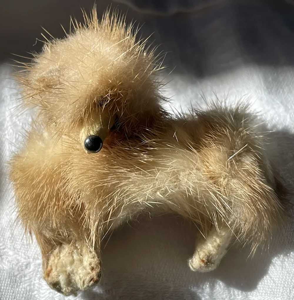 Vintage 1950’s Mink Fur Poodle Brooch - image 2