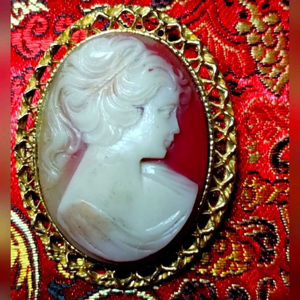 Vintage Gorgeous cameo with 14 k GP framing - image 1