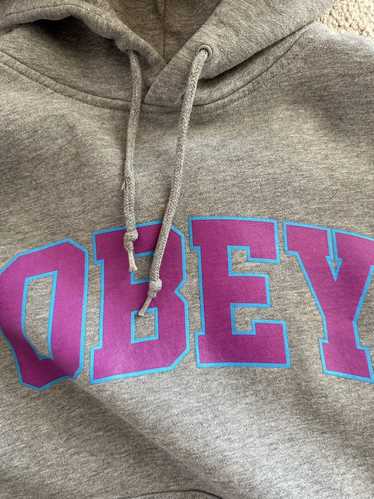 Obey × Streetwear Gray Obey Hoodie, Blue/Pink Logo