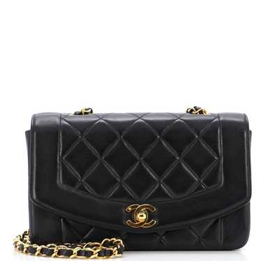 Chanel Diana Vintage Flap Bag - Gem
