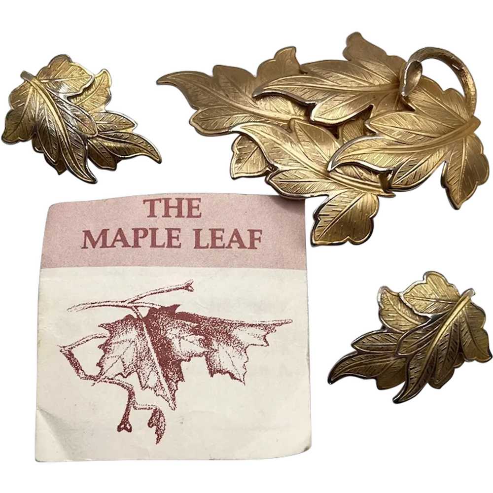 Vintage Canada Maple Leaf Pin And Clip On Earring… - image 1