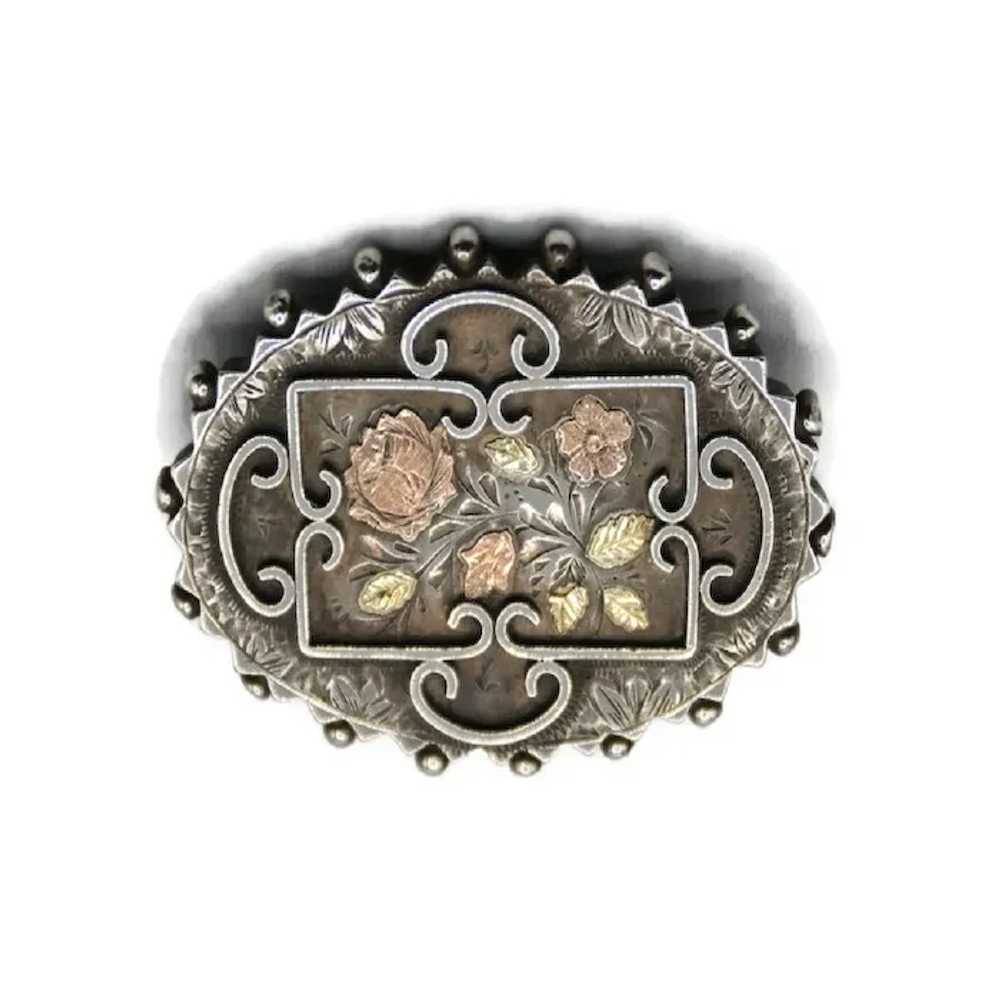 English Victorian Aesthetic Brooch, Sterling with… - image 3