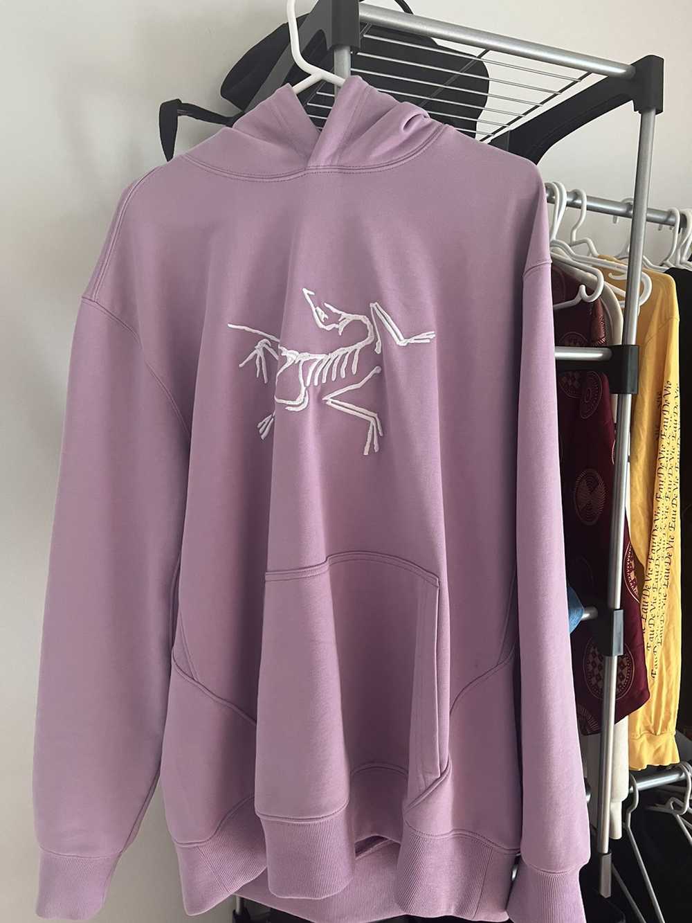 Arc'Teryx × Palace Palace x Arc’teryx lilac hoodie - image 2