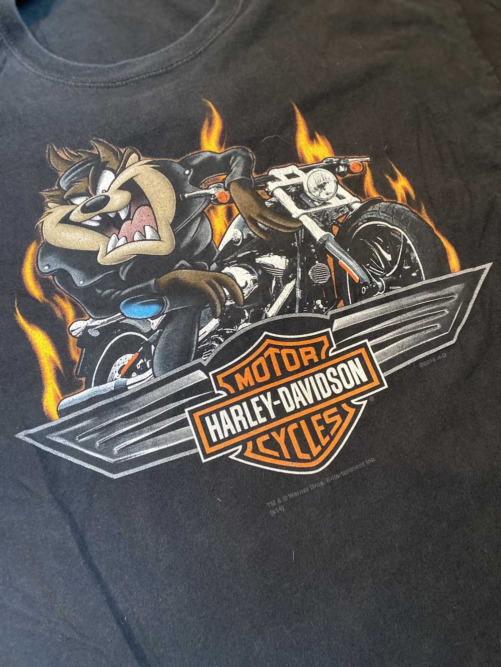 Harley Davidson Harley Davidson x Tasmanian Devil Loo… - Gem