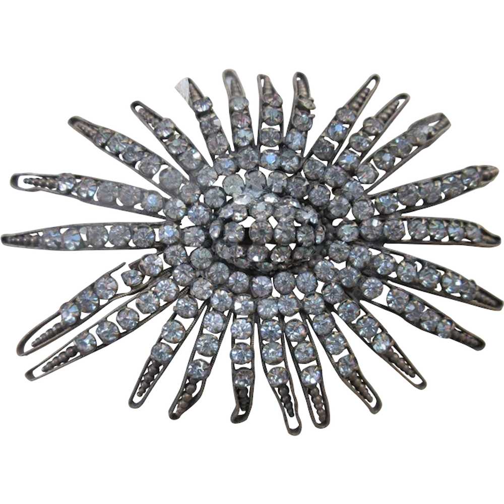 Older Vintage Paste Embellishment Circa 1930 Dres… - image 1