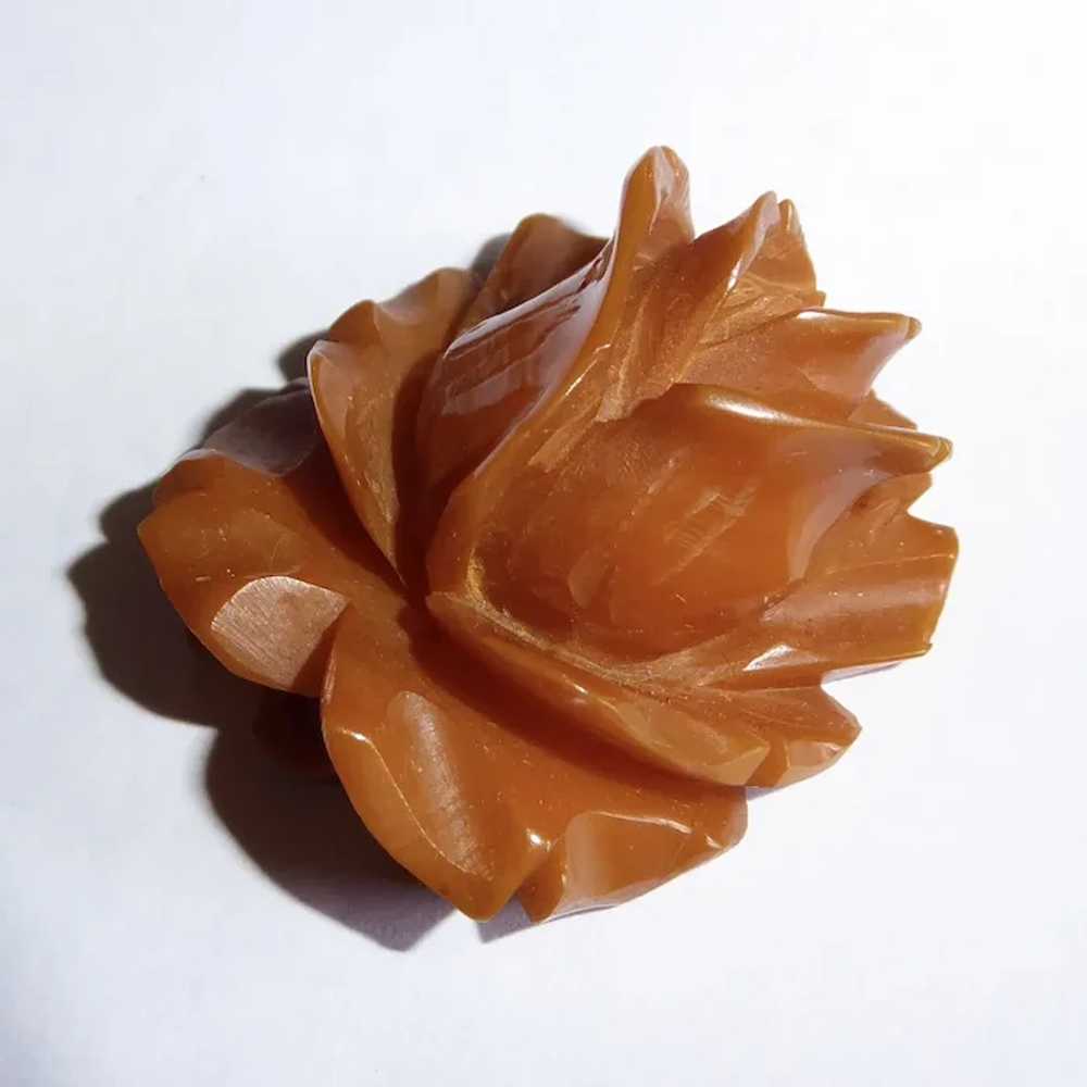 Deeply Carved Butterscotch Bakelite Rose Pendant - image 5