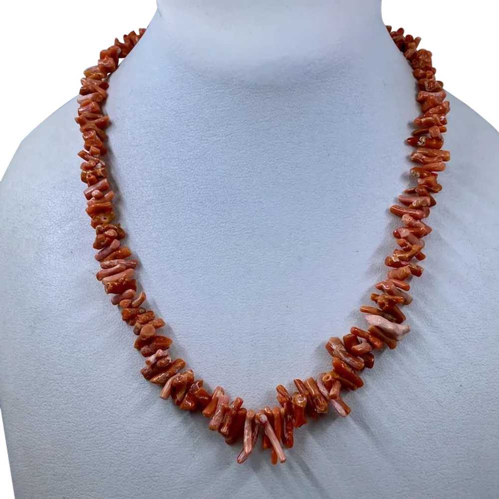 Vintage Natural Stick Coral Necklace 16" - image 1