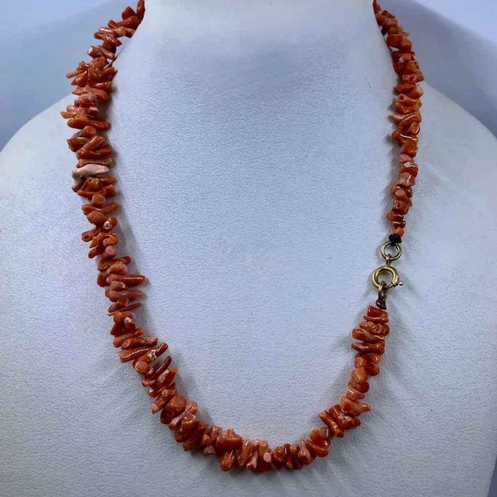 Vintage Natural Stick Coral Necklace 16" - image 3