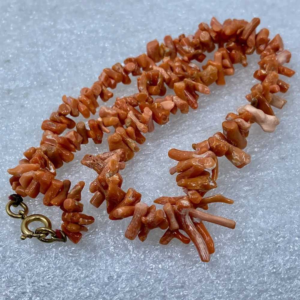 Vintage Natural Stick Coral Necklace 16" - image 4