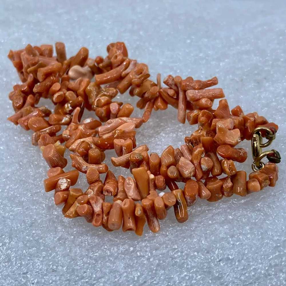 Vintage Natural Stick Coral Necklace 16" - image 5