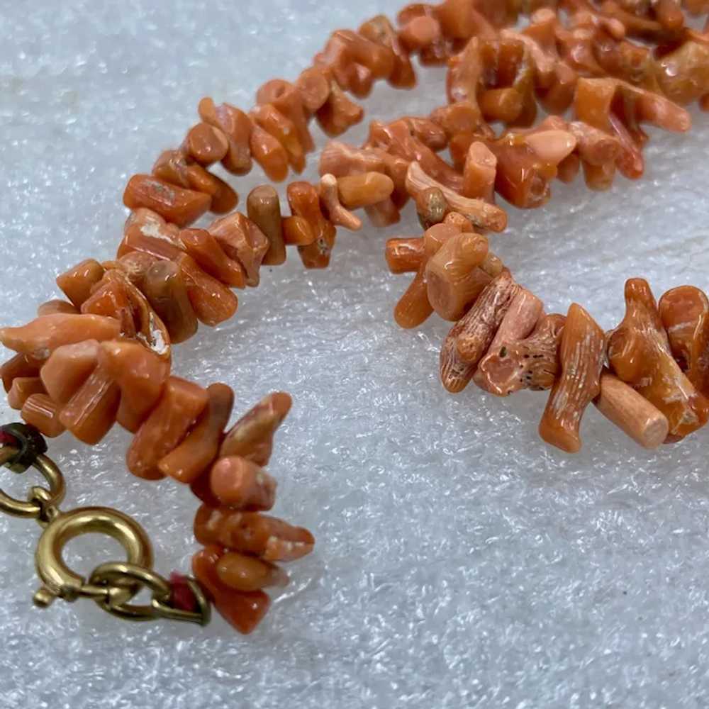 Vintage Natural Stick Coral Necklace 16" - image 7