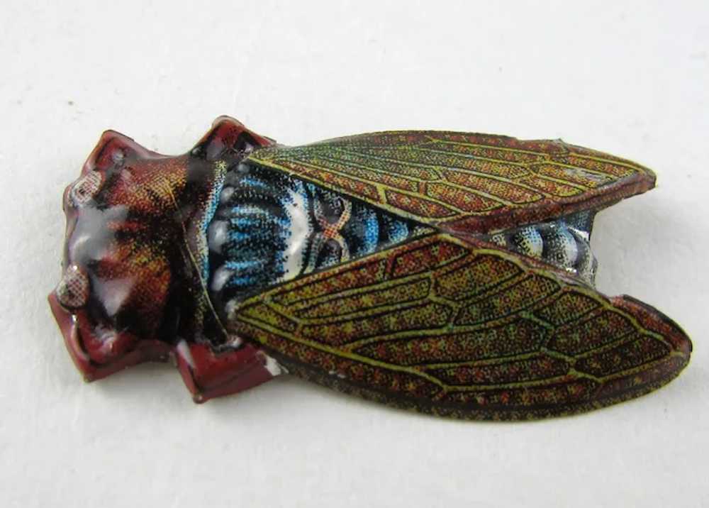 Very Early Unique Enamelled Bug Pin - image 4