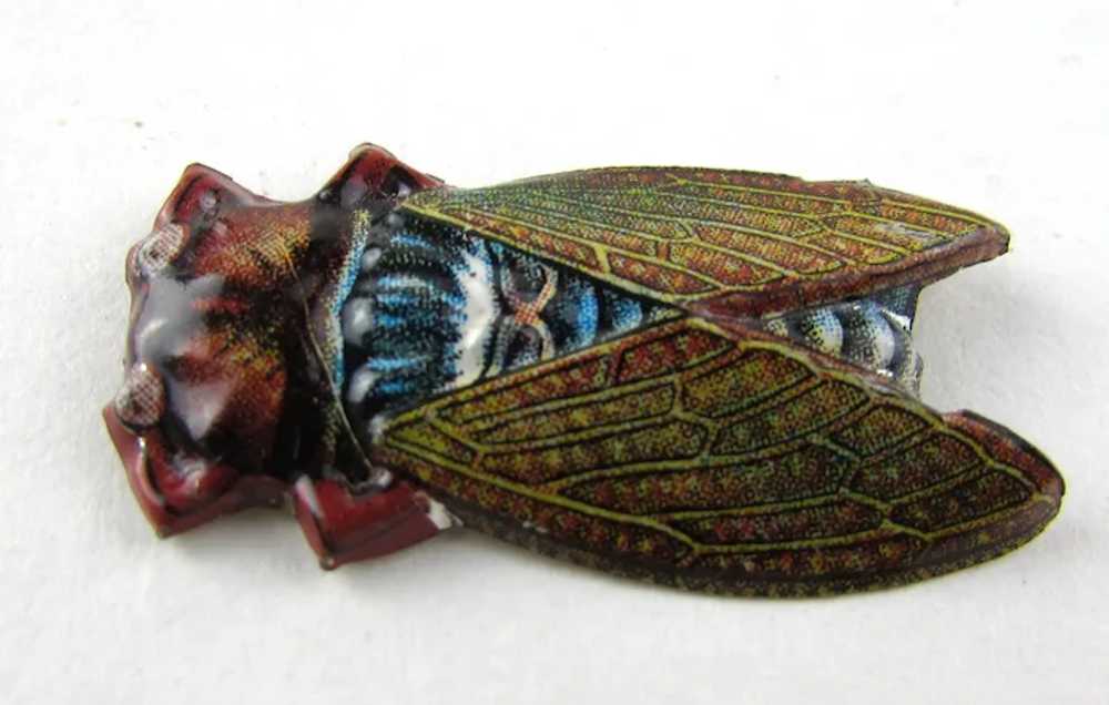 Very Early Unique Enamelled Bug Pin - image 6