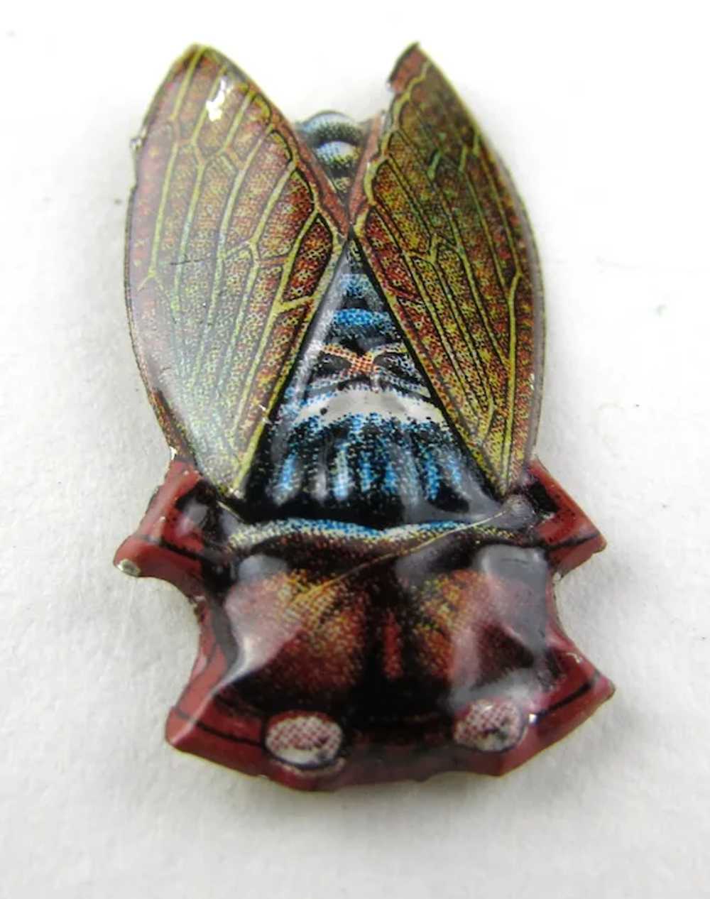 Very Early Unique Enamelled Bug Pin - image 7