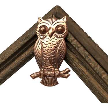 Copper owl brooch pin for women, cute little anima