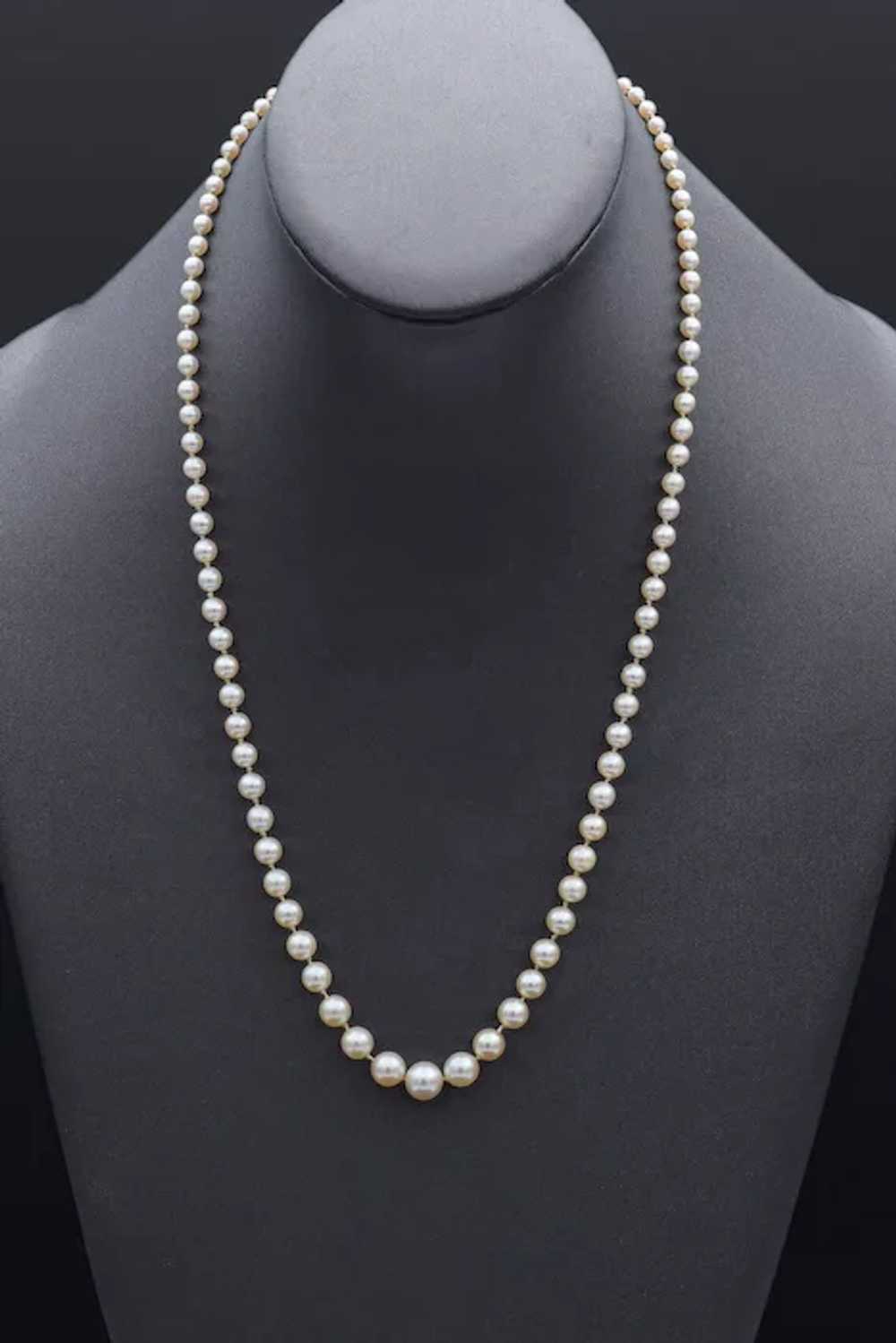Vintage Graduated Pearl 14K White Gold Beaded Str… - image 4