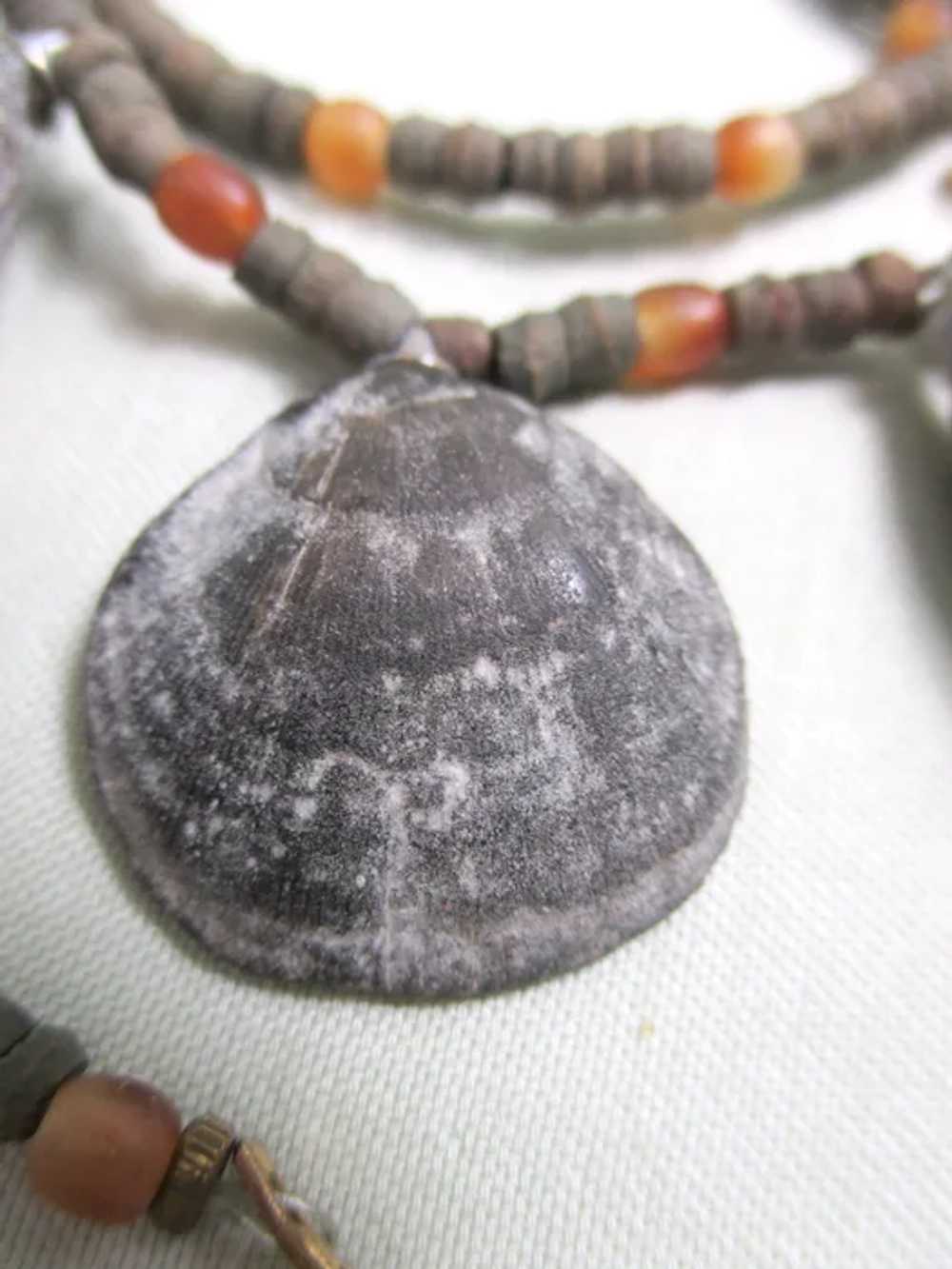 Authentic Cast Fossil Shell Necklace - image 7