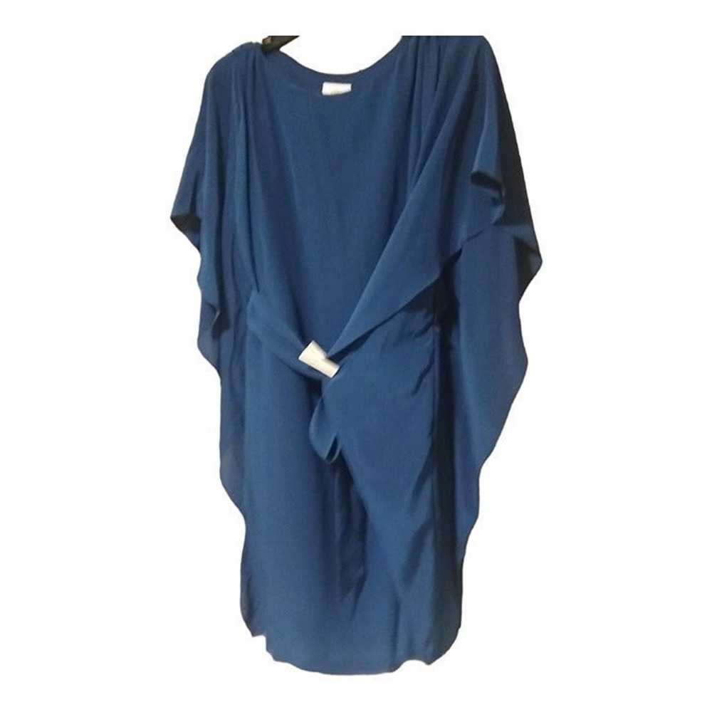 100% Silk Suzi Chin Kaftan/Dress with matching si… - image 5