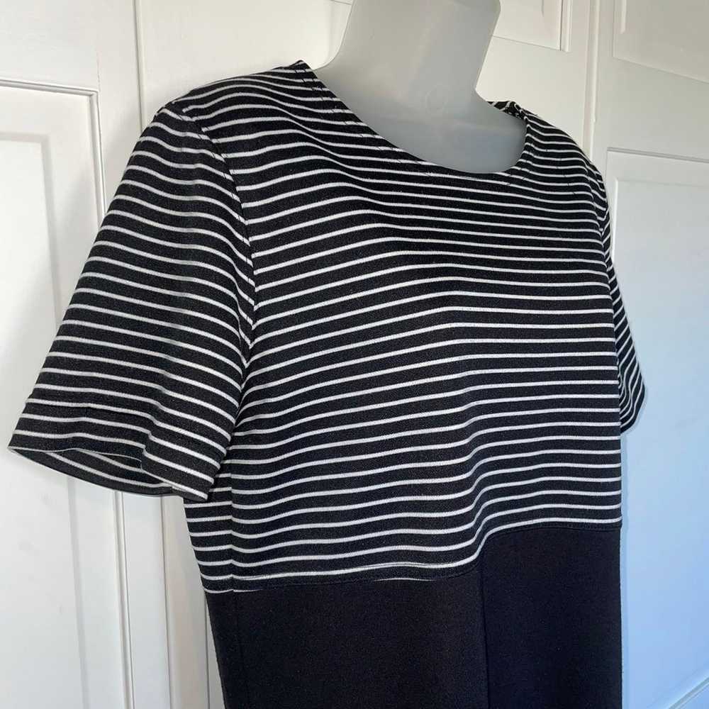 Black White Stripe T-Shirt Dress Short Sleeve Cat… - image 3